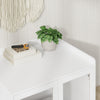 SoBuy HAT02-L-E-W Kissanvessakaappi 98 × 60 × 80 cm – sisal-raapimisramppi, lasiovet, valkoinen